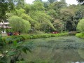 Tn 0424 DSC 5737